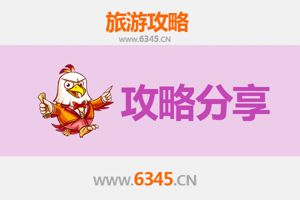 广州荔湾旅游攻略：跟团与自由行深度对比