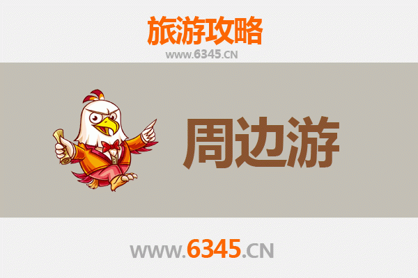 广州荔湾周边游全攻略：老西关风情与美食探寻之旅